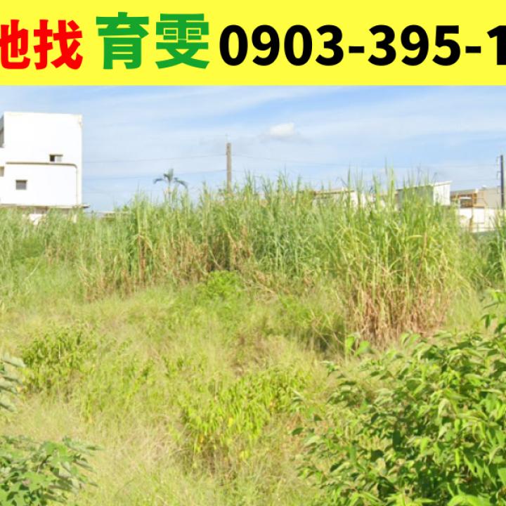 工業用地|中壢?千坪方正乙種工業地(近中壢工業區7分鐘)_買賣土地找育雯