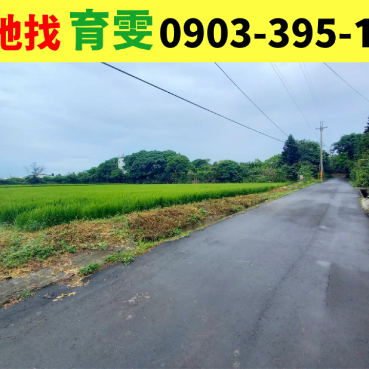 農地|新屋崁頭厝?近永安漁港農地_買賣土地找育雯