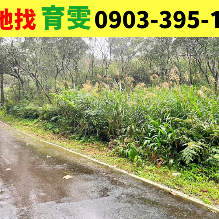 農地|新北萬里區?800坪美農地(近萬里區公所)_買賣土地找育雯