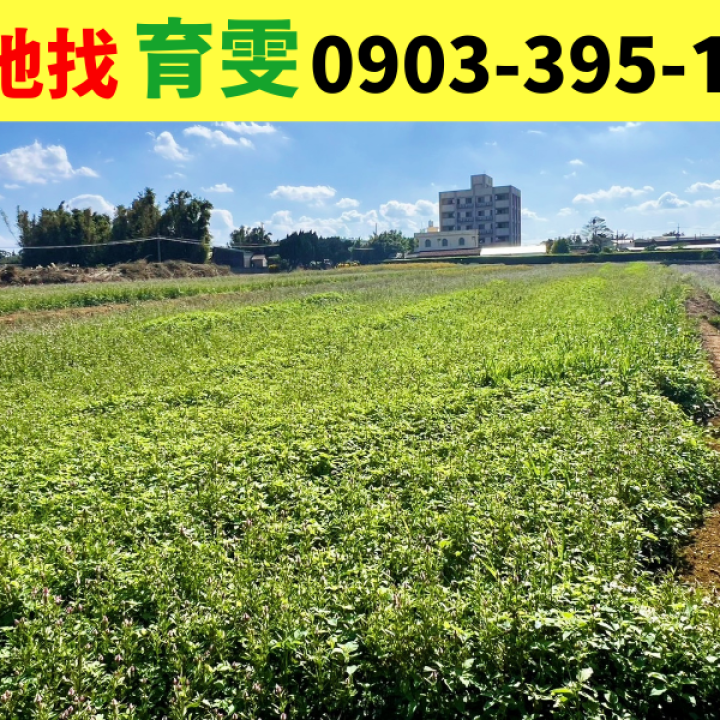農地|觀音廣福段?雙面臨路農地(B)_買賣土地找育雯