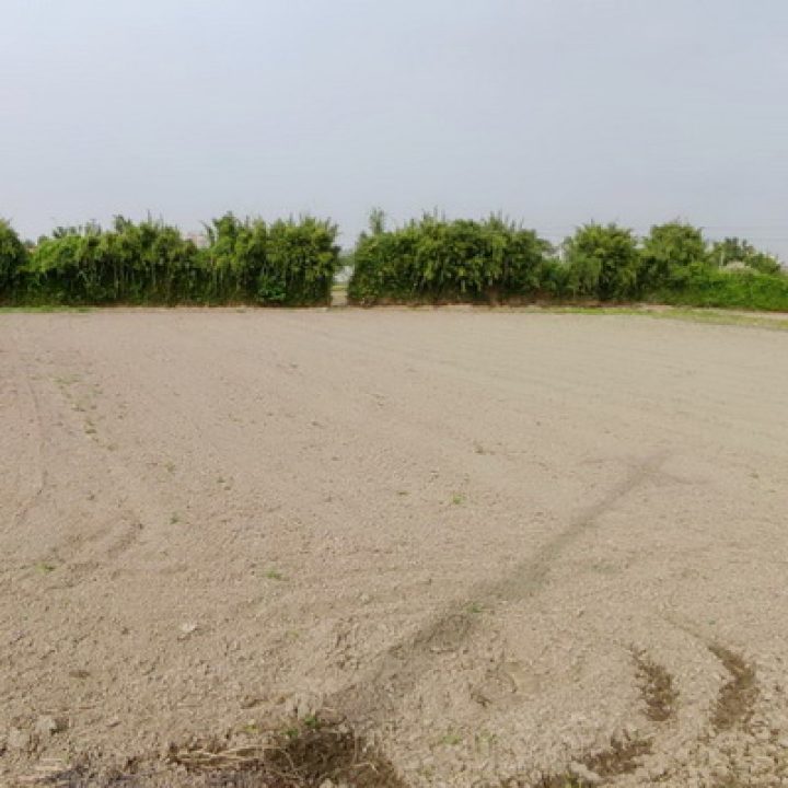桃園買農地.桃園買建地.桃園買地.國際路都計內農地.8280萬