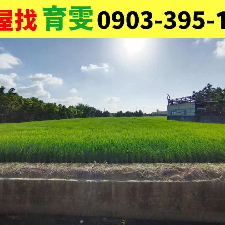 觀音大堀?大面寬農地 買賣房屋/土地找育雯