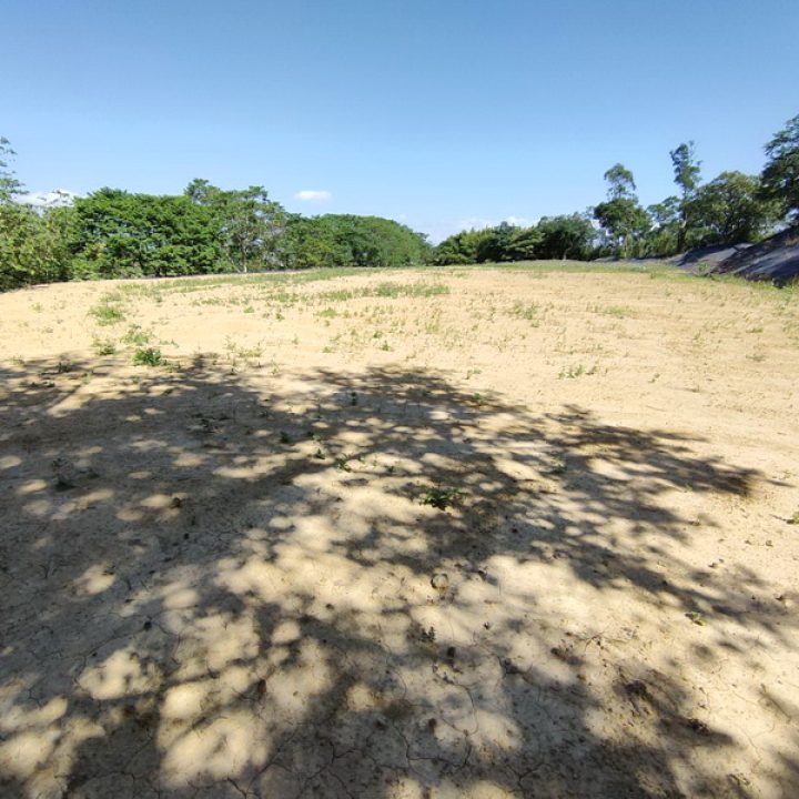 楊梅買農地.楊梅買建地.楊梅買地.楊梅一般農.3620萬