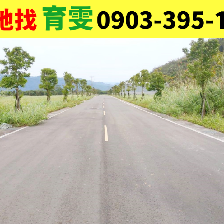 工業用地|龍潭丁種工業用地(近瑞祥國小)_買賣土地找育雯