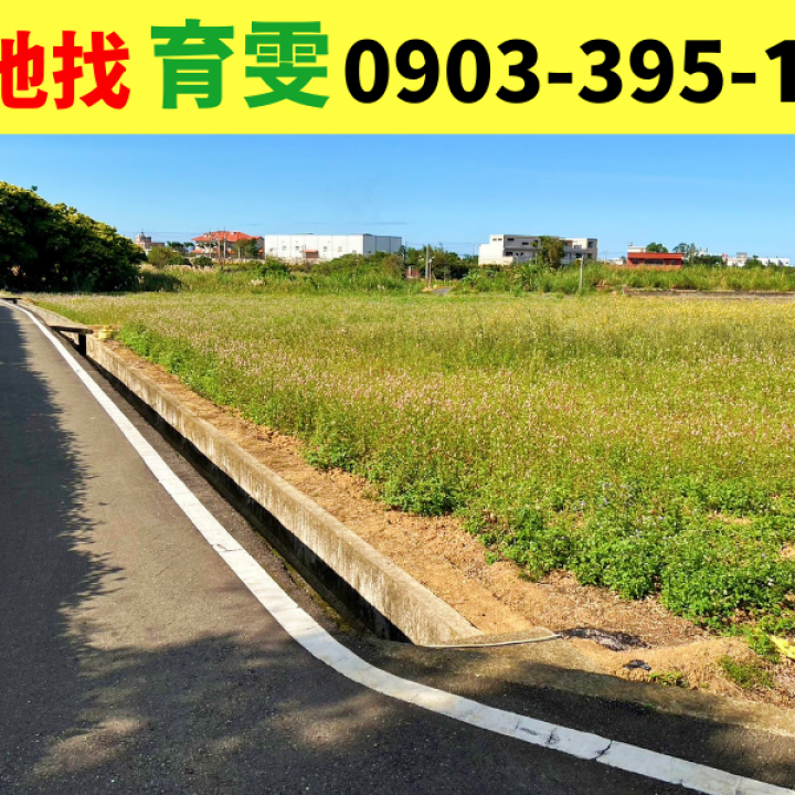 農地|觀音廣福段?雙面臨路農地 買賣土地找育雯