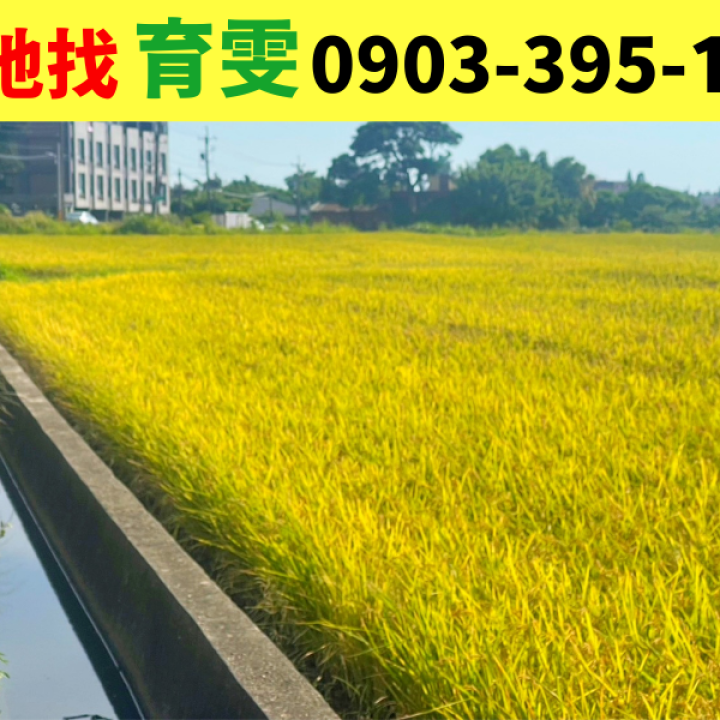 農地|觀音台66旁?方正美田(觀音國小/市區5分鐘)_買賣土地找育雯