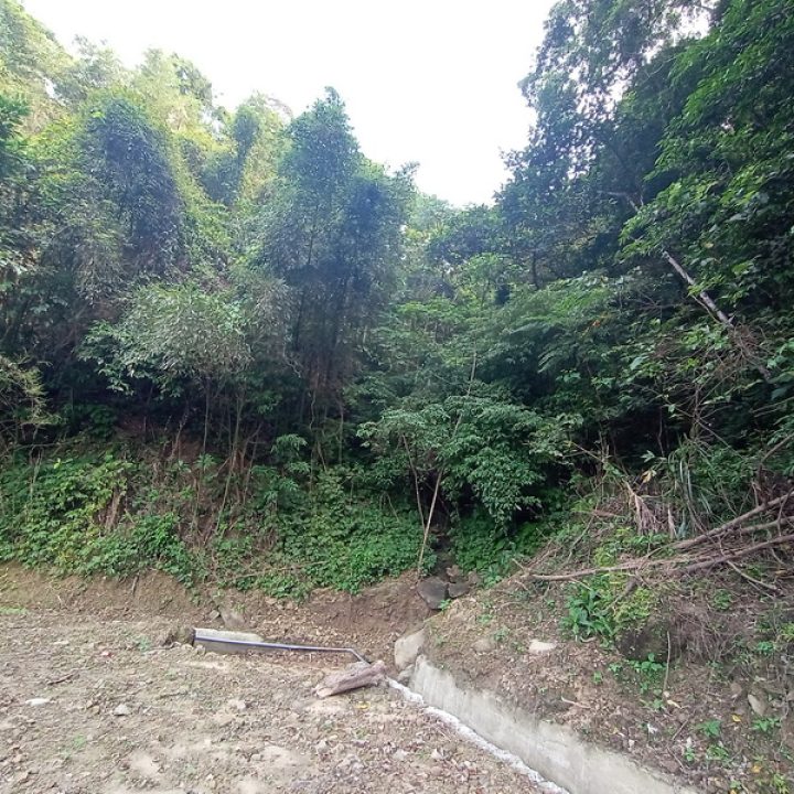 苗栗買農地.苗栗買建地.苗栗買地.苗栗獅潭優美農地.2300萬