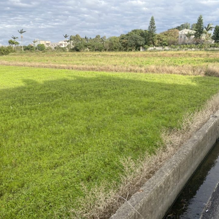 楊梅買農地.楊梅買建地.楊梅買地.楊梅富岡車站前方正美農地.1850萬